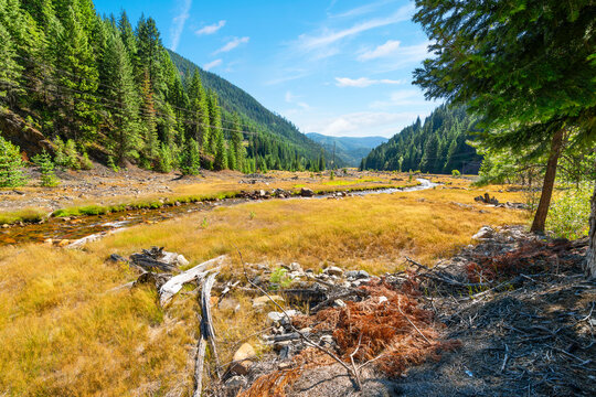 Canyon Creek, which runs from the mining town of Wallace, Idaho, to the abandoned town of Burke, Idaho, in the Silver Valley region, now a Superfund site due to heavy metals in the soil.