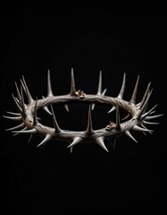 Crown of thorns on black background, Jesus Christ