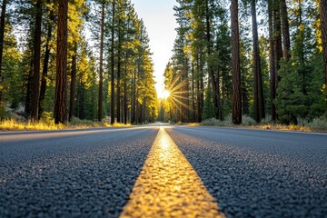 Obraz premium A serene road surrounded by tall trees, illuminated by a beautiful sunrise, inviting adventure and exploration in nature.