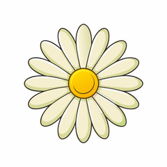 Chamomile isolated on white, daisy vector illustration, daisy vector art, daisy silhouette, flowers icon, chamomiles line art, eps