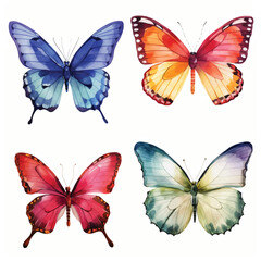 watercolor painting of butterfly four collection isolated