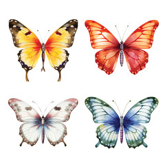 watercolor painting of butterfly four collection isolated