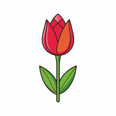 Tulip isolated on white, tulip vector illustration, tulip vector art, tulip silhouette, flowers icon, rose line art, eps