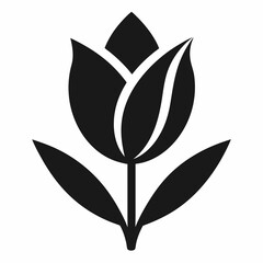Tulip isolated on white, tulip vector illustration, tulip vector art, tulip silhouette, flowers icon, rose line art, eps
