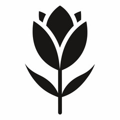 Tulip isolated on white, tulip vector illustration, tulip vector art, tulip silhouette, flowers icon, rose line art, eps