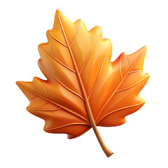 maple leaf isolated on white
