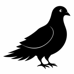 Dove Black silhouette