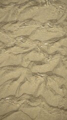 rippled sand and clear shallow sea water texture abstract beach pattern background