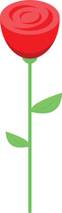 Single red rose blooming on a green stem, perfect for projects related to love, romance, and nature