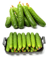 Green cucumber on the white background