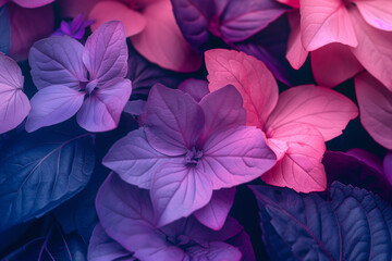 A vibrant wallpaper featuring purple and pink flowers and leaves blending soft hues with nature-inspired elegance.