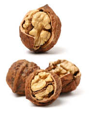 walnuts on a white background
