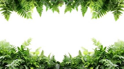 Tropical foliage plant bush, nature frame layout.