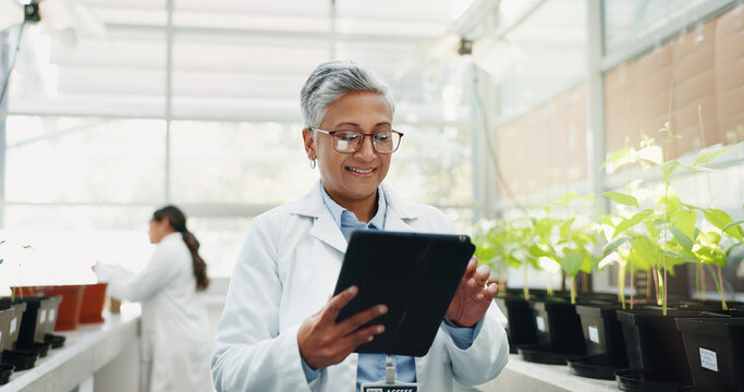 Happy, woman and science with tablet in greenhouse for biochemistry, research and ecosystem. Scientist, innovation and mature person with tech by plants for ecology, development and climate change