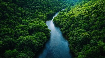 Aerial View of a Serene River Winding Through Lush Green Forest