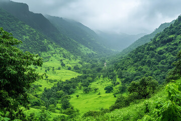 Lush green valleys