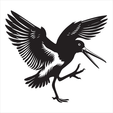 recommend clip art: American Oystercatcher Silhouette, Pied Oystercatcher Bird Clipart,  American Oystercatcher aggressively posturing illustration in black and white