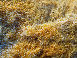 Synthetic fibers are dirty, damp, outdoors.