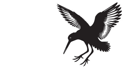 Fototapeta premium American Oystercatcher Silhouette, Pied Oystercatcher Bird Clipart, American Oystercatcher hovering illustration in black and white 