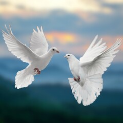 The aesthetic pigeon expressing love suitable for social media content