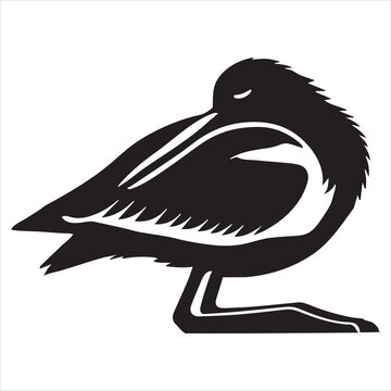 recommend clip art: American Oystercatcher Silhouette, Pied Oystercatcher Bird Clipart,  American Oystercatcher sleeping illustration in black and white
                    