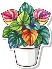 Obraz premium Colorful houseplant with large leaves in a white pot.