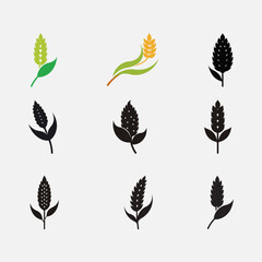 Wheat, Rye, Barley, and Oats Icon Set – Cereal Grains Emblems and Symbols Vector Illustration