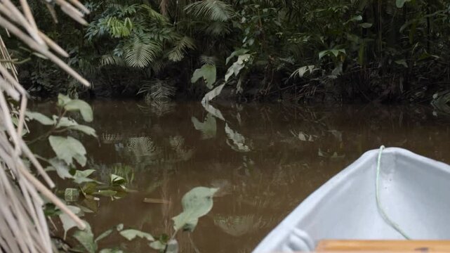 Woman padels a boat through a narrow river in South American tribe