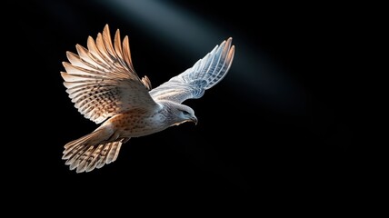 Fototapeta premium Powerful feathered wings emerging from darkness, illuminated by light.