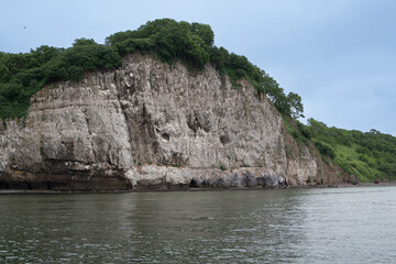 view from the sea to the shore with a high cliff and vegetation where birds nest
