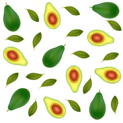 Seamless pattern with Avocado set isolated on white background. Vector illustration.