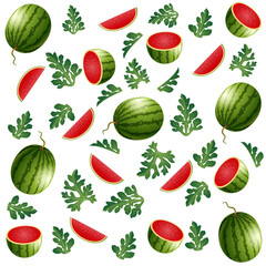 Seamless pattern with  watermelons with leaves isolated on white background. Vector illustration.