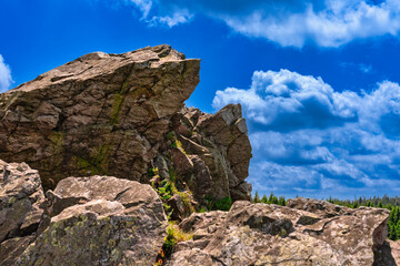 Fototapeta premium Wolfswarte im Harz