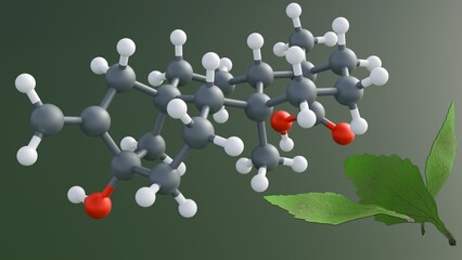 3d rendering of steviol molecules, found in stevia leaves, are natural sweeteners.