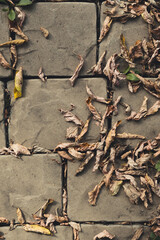 Fall dry foliage on stone surface. Autumn season concept. Top view