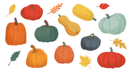 Set of flat pumpkins of different shapes and colours. Vector illustrations of autumn vegetables. Pumpkin on white background