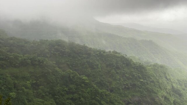 Dense forests Kumbharli ghat in Konkan during the monsoons in Maharashtra, India.