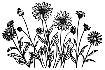 Hand drawn wildflowers meadow