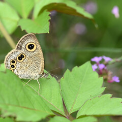 Fototapeta premium 夏の終わりに