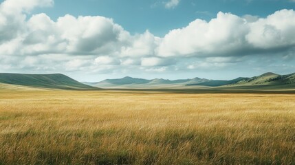 Obraz premium Golden Field Under a Cloudy Sky