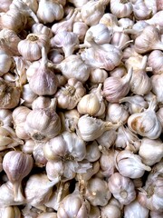 close up of garlic with pale red color
