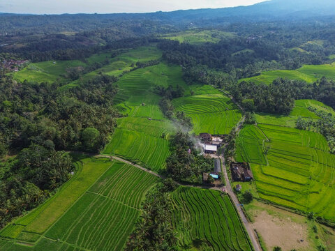 Aerial view of Tabanan Rice paddies in Tabanan, Bali, Indonesia