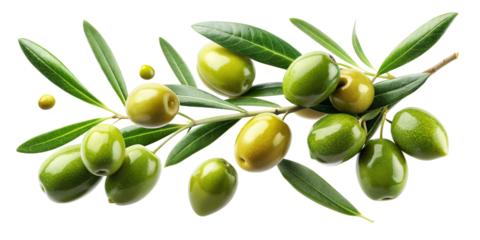 Delicious Green Olives with Leaves Cut Out with Clipping Path on Transparent Background