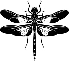 Dragonfly clipart desing illustration