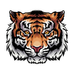 Tiger, wild big cat head.