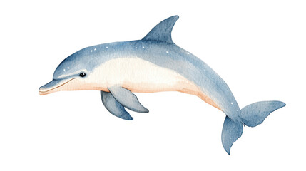 Fototapeta premium A beautiful watercolor illustration of a playful dolphin isolated on a white background.