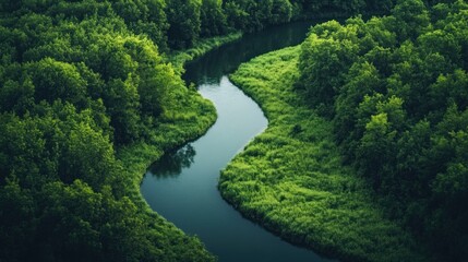 Fototapeta premium Aerial View of River Winding Through Lush Greenery
