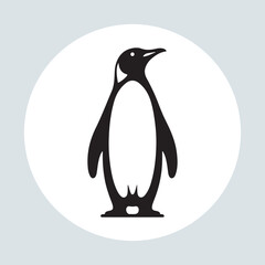 Obraz premium penguin illustration