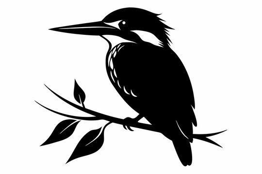 recommend clip art: kingfisher sitting on a branch silhouette vector illustration.