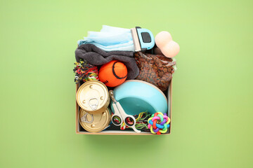 Donation box with pet supplies, food, toys on green background. Charity, animal shelter support...